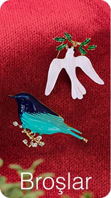 Brooch