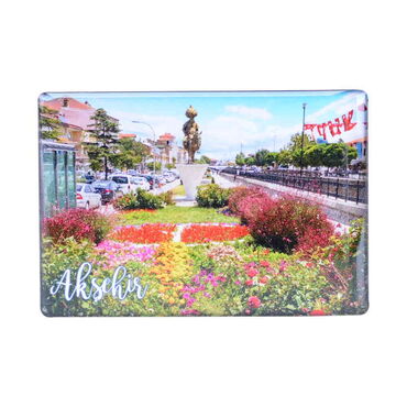 Toptan Akşehir Temalı Myros Dikdörtgen Magnet 80x55 cm - 6