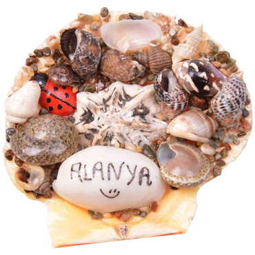 Alanya Themed Sea Shell Souvenir Fridge Magnet - 5