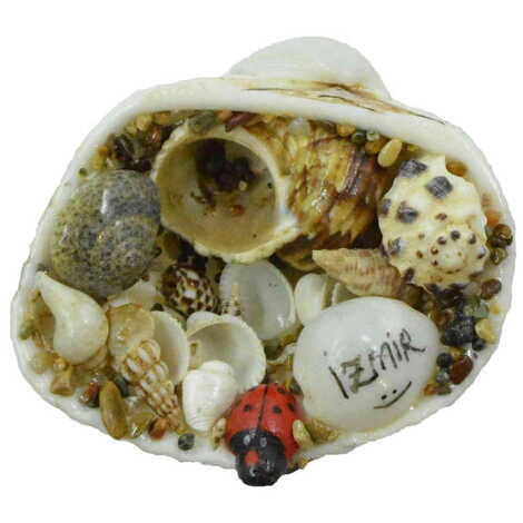 Izmir Themed Sea Shell Souvenir Fridge Magnet - 5