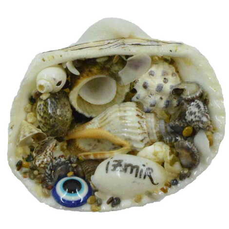 Izmir Themed Sea Shell Souvenir Fridge Magnet - 7