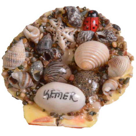 Kemer Themed Sea Shell Souvenir Fridge Magnet - 4