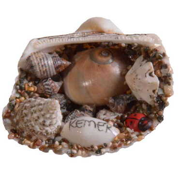 Kemer Themed Sea Shell Souvenir Fridge Magnet - 5