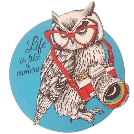 Owl Themed Wooden Customised Round Travel Coaster 100 mm - 4