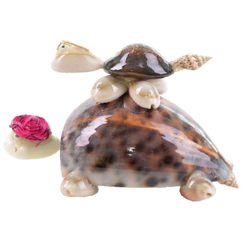 Buy Sea Shell Triple Baby Turtles with Hats Figurine - Myros