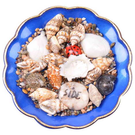 Side Themed Customised Sea Shell Plate Magnet 73 Mm - 3