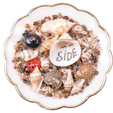 Side Themed Customised Sea Shell Plate Magnet 73 Mm - 4