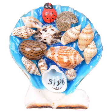 Side Themed Sea Shell Souvenir Fridge Magnet - 4