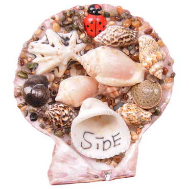 Side Themed Sea Shell Souvenir Fridge Magnet - 5