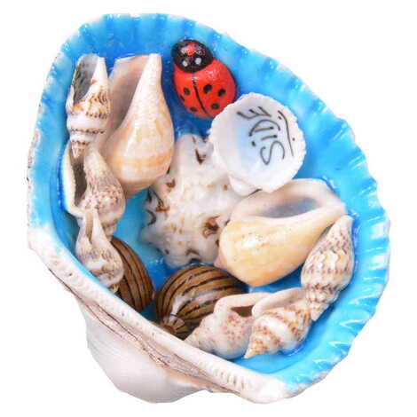 Side Themed Sea Shell Souvenir Fridge Magnet - 6