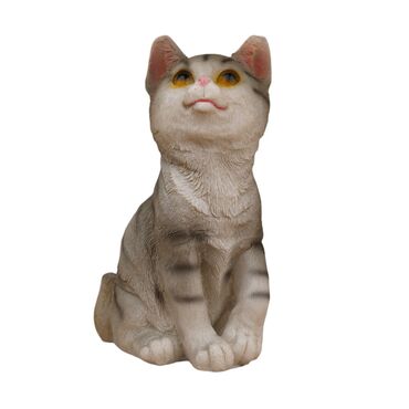 Toptan Orta Polyester Kedi̇ - 6