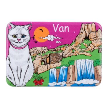 Van Themed Customised UV Printed Plastic Base Rectangle Fridge Magnet 80x50 mm - 5